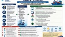 Privatisasi, Komersialisasi, dan Efisiensi BUMN PT Pelindo: Antara Tuntutan Pasar dan Kepentingan Publik. (VISUAL : Dok. Istimewa Penulis)
