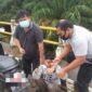 FOTO : MF dan Barang Bukti yang Diamankan Polisi, Sabtu (13/06/20)