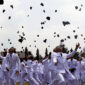 Gambar Sumber Google