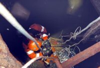 Personel Tim SAR Gabungan mengenakan peralatan khusus Confined Space Rescue (CSR) saat mengevakuasi korban yang terjebak di dalam palka Tongkang KM TS Daya Niaso di aliran Sungai Batanghari, Kawasan Niaso, Kabupaten Muaro Jambi, Rabu (20/05/2026). Tiga orang pekerja dilaporkan meninggal dunia akibat diduga menghirup gas beracun di dalam lambung kapal tersebut. (Foto: Dok. Basarnas Jambi)