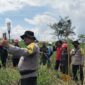 Polsek Kumpeh Ilir Simulai Penanganan dan Pencegahan Karhutla di Desa Betung, Kecamatan Kumpeh Kabupaten Muaro Jambi. FOTO : HMS