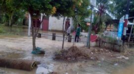 Salah satu kawasan terdampak yakni di Perumahan Kembar Lestari I, Kelurahan Kenali Besar, Kecamatan Alam Barajo Kota Jambi di RT 45, RT 36 dan RT 56.
