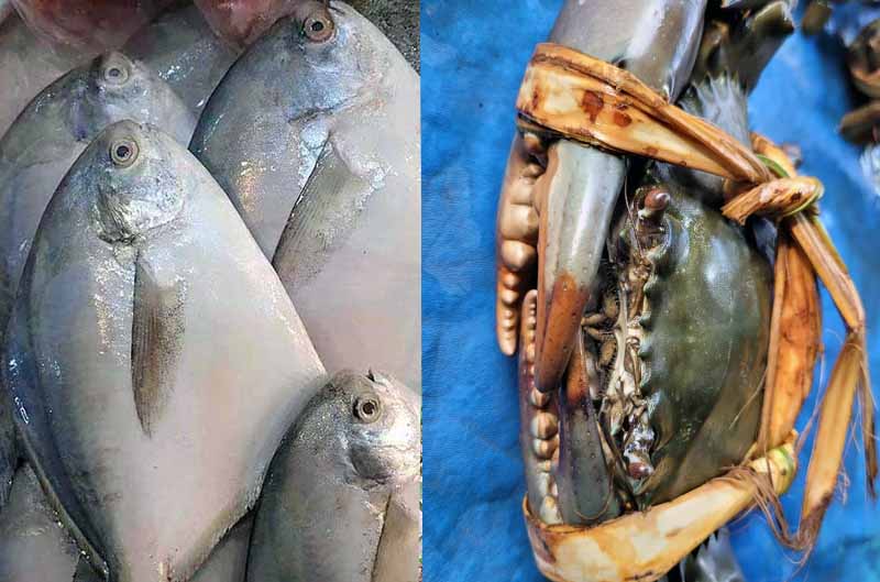 Nelayan Panen Rezeki, Jelang Imlek Harga Ikan Bawal Putih Naik demikian juga Kepiting. FOTO : LT