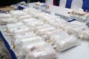 Barang bukti ratusan ribu ekor Benih Bening Lobster (BBL) senilai Rp 10 miliar hasil sitaan Ditreskrimsus Polda Kepri dari jaringan penyelundup internasional Jakarta-Batam-Singapura. (FOTO : Dok. Humas Polda Kepri/Kompas.com)