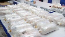 Barang bukti ratusan ribu ekor Benih Bening Lobster (BBL) senilai Rp 10 miliar hasil sitaan Ditreskrimsus Polda Kepri dari jaringan penyelundup internasional Jakarta-Batam-Singapura. (FOTO : Dok. Humas Polda Kepri/Kompas.com)