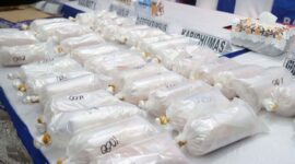 Barang bukti ratusan ribu ekor Benih Bening Lobster (BBL) senilai Rp 10 miliar hasil sitaan Ditreskrimsus Polda Kepri dari jaringan penyelundup internasional Jakarta-Batam-Singapura. (FOTO : Dok. Humas Polda Kepri/Kompas.com)