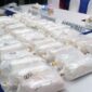 Barang bukti ratusan ribu ekor Benih Bening Lobster (BBL) senilai Rp 10 miliar hasil sitaan Ditreskrimsus Polda Kepri dari jaringan penyelundup internasional Jakarta-Batam-Singapura. (FOTO : Dok. Humas Polda Kepri/Kompas.com)