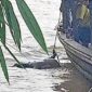 Tim Basarnas Gabungan Saat Mengevakuasi Jasad Jihan. FOTO : Banuanews.com