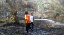 Personil BPBD dan Dua Posko Standby Antisipasi Karhutla di Tanjab Barat. FOTO : ISt