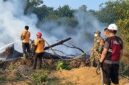 Tampak personel BPBD, TNI, dan Polri bergerak agresif di garis depan untuk menjinakkan kobaran api yang membakar lahan kering. (FOTO : Dok. Istimewa)