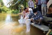 Bupati Tanjab Barat H. Anwar Sadat bersama Wabup Hairan melakukan tabur benih ikan di Lubuk Larangan, Desa Suban, Kecamatan Tungkal Ulu, Kamis (15/07/21). FOTO : PROKOPIM