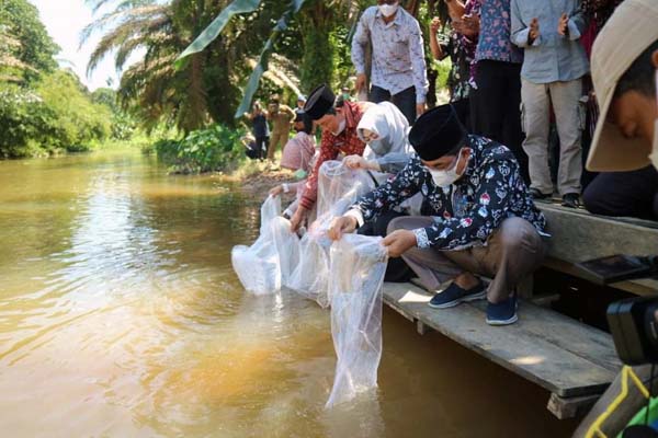 Bupati Tanjab Barat H. Anwar Sadat bersama Wabup Hairan melakukan tabur benih ikan di Lubuk Larangan, Desa Suban, Kecamatan Tungkal Ulu, Kamis (15/07/21). FOTO : PROKOPIM
