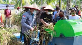 FOTO : Bupati Tanjung Jabung Barat KH. Anwar Sadat Bersama Kapolres, Dandim 0419/Tanjab, Ketua Pengadilan Negeri dan Anggota DPRD Saat Melaksanakan Panen Padi Raya Kampung Tangguh Siginjai di RT 13 Kelurahan Patunas, Rabu (17/03/21).