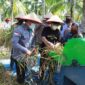 FOTO : Bupati Tanjung Jabung Barat KH. Anwar Sadat Bersama Kapolres, Dandim 0419/Tanjab, Ketua Pengadilan Negeri dan Anggota DPRD Saat Melaksanakan Panen Padi Raya Kampung Tangguh Siginjai di RT 13 Kelurahan Patunas, Rabu (17/03/21).