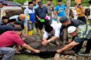 Bupati Tanjung Jabung Barat, H. Anwar Sadat memimpin langsung prosesi penyembelihan salah satu dari total 89 hewan kurban jajaran Pemkab Tanjab Barat di halaman Mal Pelayanan Publik (MPP), Rabu (27/05). (Foto: Dok. Humas Pemkab)