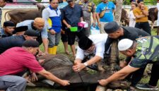 Bupati Tanjung Jabung Barat, H. Anwar Sadat memimpin langsung prosesi penyembelihan salah satu dari total 89 hewan kurban jajaran Pemkab Tanjab Barat di halaman Mal Pelayanan Publik (MPP), Rabu (27/05). (Foto: Dok. Humas Pemkab)