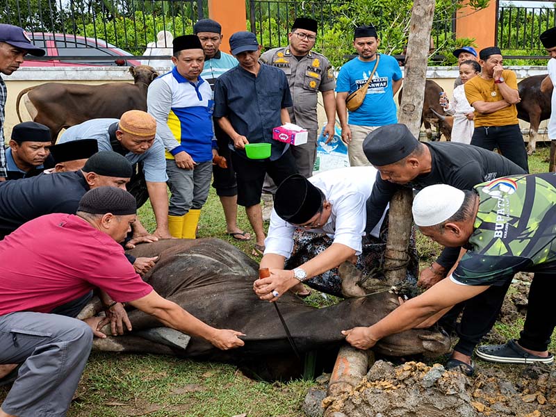 Bupati Tanjung Jabung Barat, H. Anwar Sadat memimpin langsung prosesi penyembelihan salah satu dari total 89 hewan kurban jajaran Pemkab Tanjab Barat di halaman Mal Pelayanan Publik (MPP), Rabu (27/05). (Foto: Dok. Humas Pemkab)