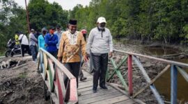 Bupati H Anwar Sadat tinjau ekowisata mangrove pangkal babu, Minggu (16/1/22). FOTO : PROKOPIM