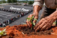 Beras & Cabai Tak Tumbuh di Atas Aspal Operasi Pasar: Hentikan Seremonial, Urus Produksi!. FOTO : Ist