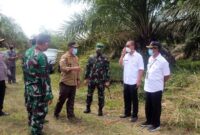 FOTO : Bupati Merangin H. Mashuri, S.Pd. MM Meninjau Lokasi Makam Covid-19 di Desa Sungai Ulak Kecamatan Nalo Tantan Kabupaten Merangin tepatnya di belakang TMP Patriot Bhakti, Rabu (30/09/20).