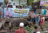 FOTO : Prosesi Pemotongan Hewan Qurban Keluarga Bupati Safrial di Kampung Nelayan, Sabtu (01/08/20)