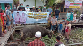 FOTO : Prosesi Pemotongan Hewan Qurban Keluarga Bupati Safrial di Kampung Nelayan, Sabtu (01/08/20)