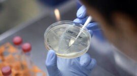 GAMBAR : Ilustraasi lintastungkal.com/google