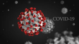 GAMBAR : Ilustraasi Berita dari Corona lintastungkal.com