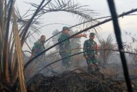 Danrem 042/Gapu Brigjen TNI Supriono Padamkan Api Kebakaran Lahan Gambut di Dusun Setia Jaya RT. 09 Desa Ramin Kec. Kumpe Ulu Kab. Muaro Jambi, Kamis (31/8/23). FOTO : PENREM