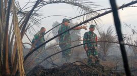 Danrem 042/Gapu Brigjen TNI Supriono Padamkan Api Kebakaran Lahan Gambut di Dusun Setia Jaya RT. 09 Desa Ramin Kec. Kumpe Ulu Kab. Muaro Jambi, Kamis (31/8/23). FOTO : PENREM