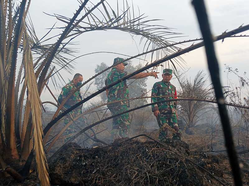 Danrem 042/Gapu Brigjen TNI Supriono Padamkan Api Kebakaran Lahan Gambut di Dusun Setia Jaya RT. 09 Desa Ramin Kec. Kumpe Ulu Kab. Muaro Jambi, Kamis (31/8/23). FOTO : PENREM