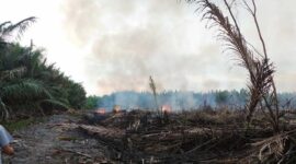 Tampak Api Masih Menyala di Lahan Kosong di Parit 9 RT 15 Desa Tungkal I. FOTO : Damkar.