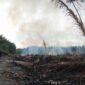 Tampak Api Masih Menyala di Lahan Kosong di Parit 9 RT 15 Desa Tungkal I. FOTO : Damkar.