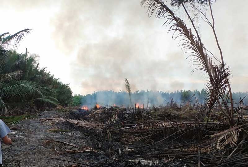 Tampak Api Masih Menyala di Lahan Kosong di Parit 9 RT 15 Desa Tungkal I. FOTO : Damkar.