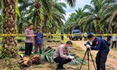 Diduga Ditembak Dua Kali Saat Panen Sawit, Petani di Tanjab Barat Lapor Polisi
