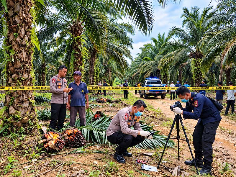 Satreskrim Polres Tanjab Barat Saat Melakukan Olah TKP : Dok Polres Tjb