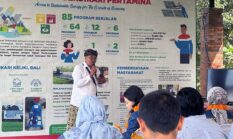 Manfaatkan Energi Surya: Desa Keliki Bali Jadi Inspirasi Global