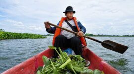 Warga binaan Pertamina Patra Niaga saat mengumpulkan eceng gondok di perairan lokal. Di tangan kelompok masyarakat kreatif, gulma ini disulap menjadi komoditas bernilai tinggi demi mendukung pelestarian lingkungan sekaligus meningkatkan pendapatan ekonomi daerah berbasis prinsip ESG. (FOTO : Dok. Pertamina)
