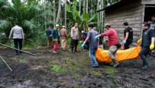 Tim Gabungan Satreskrim Polres Tanjab Barat bersama Polsek Betara dan warga mengevakuasi jenazah AK (70), korban pembunuhan sadis di area perkebunan Desa Bunga Tanjung, Kec. Betara, Tanjab Barat. Polisi berhasil meringkus pelaku SL kurang dari 24 jam setelah jasad korban ditemukan. (Foto: Dok. Istimewa Res TJB)
