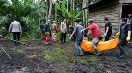 Tim Gabungan Satreskrim Polres Tanjab Barat bersama Polsek Betara dan warga mengevakuasi jenazah AK (70), korban pembunuhan sadis di area perkebunan Desa Bunga Tanjung, Kec. Betara, Tanjab Barat. Polisi berhasil meringkus pelaku SL kurang dari 24 jam setelah jasad korban ditemukan. (Foto: Dok. Istimewa Res TJB)