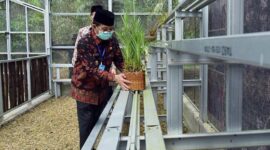 FOTO : Gubernur Jambi H. Fachrori Umar Melakukan Penanaman Anggrek Macam dan Pohon Pelindung pada Acara Meresmikan Budidaya Anggrek di Rumah Bayang Komunitas Jambi Besakat, Desa Jambi Tulo, Kecamatan Maro Sebo, Kabupaten Muaro Jambi, Kamis (25/06/20). 