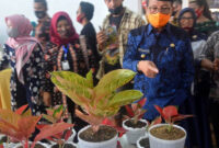 FOTO : Gubernur Jambi H. Fachrori Umar Usai Membuka Festival Bunga Kekinian di Transmart Kota Jambi, Jumat (11/09/20).  