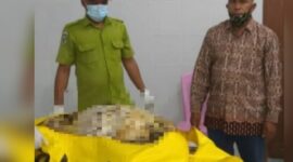 Identitas Mayat Perempuan dalam Rawa di Dusun Jambak Terungkap. FOTO : Istimewa
