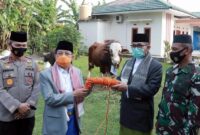 FOTO : Gubernur Jambi H. Fachrori Umar Menyerahkan Kurban Keluarga Besar 1 ekor sapi, yang diserahkan kepada Ketua Dewan Pengurus Masjid Al-Falah Jambi, Jumat (31/07/20).