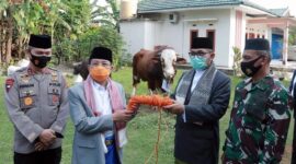 FOTO : Gubernur Jambi H. Fachrori Umar Menyerahkan Kurban Keluarga Besar 1 ekor sapi, yang diserahkan kepada Ketua Dewan Pengurus Masjid Al-Falah Jambi, Jumat (31/07/20).