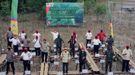 FOTO : Bupati Tanjung Jabung Barat H. Safrial bersama Gubernur Jambi H. Fachrori Umar tanam pohon magrove di sekitaran pelabuhan Roro dalam rangka peringatan hari mangrove sedunia Provinsi Jambi tahun 2020, Senin (03/08/20).