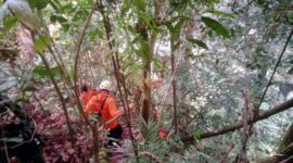 Tim Basarnas dari Pos SAR Kerinci Melakukan Pencarian Dua Warga Semurup yang Diduga Hilang di Hutan Desa Masgo Saat Mencari Kayu Bakar. [FOTO : Humas Basarnas Jambi]