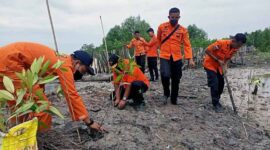 Basarnas Jambi Tanam Ratusan Bibit Mangrove Upaya Mitigasi Banjir Rob di Tanjabbar, Senin (14/2/22). FOTO : Bujang/LT