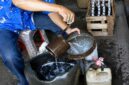 Ilustrasi aktivitas penuangan minyak tanah menggunakan takaran literan kaleng tradisional. Bahan bakar cair yang sangat akrab dengan generasi 1970-an ini kini kian langka dan transaksinya kerap dilakukan secara sembunyi-sembunyi oleh pedagang eceran karena terbentur regulasi HET dan aturan distribusi resmi Pertamina. (Foto: Ilustrasi/Media Online)