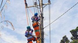 Perbaikan Jaringan. FOTO : IG PLN UP3 Jambi